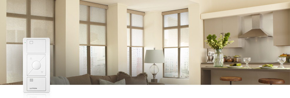 Lutron Shades System