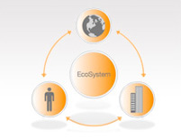 ecosystem lifecycle chart