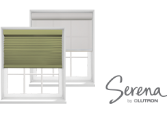serena-shades-logo