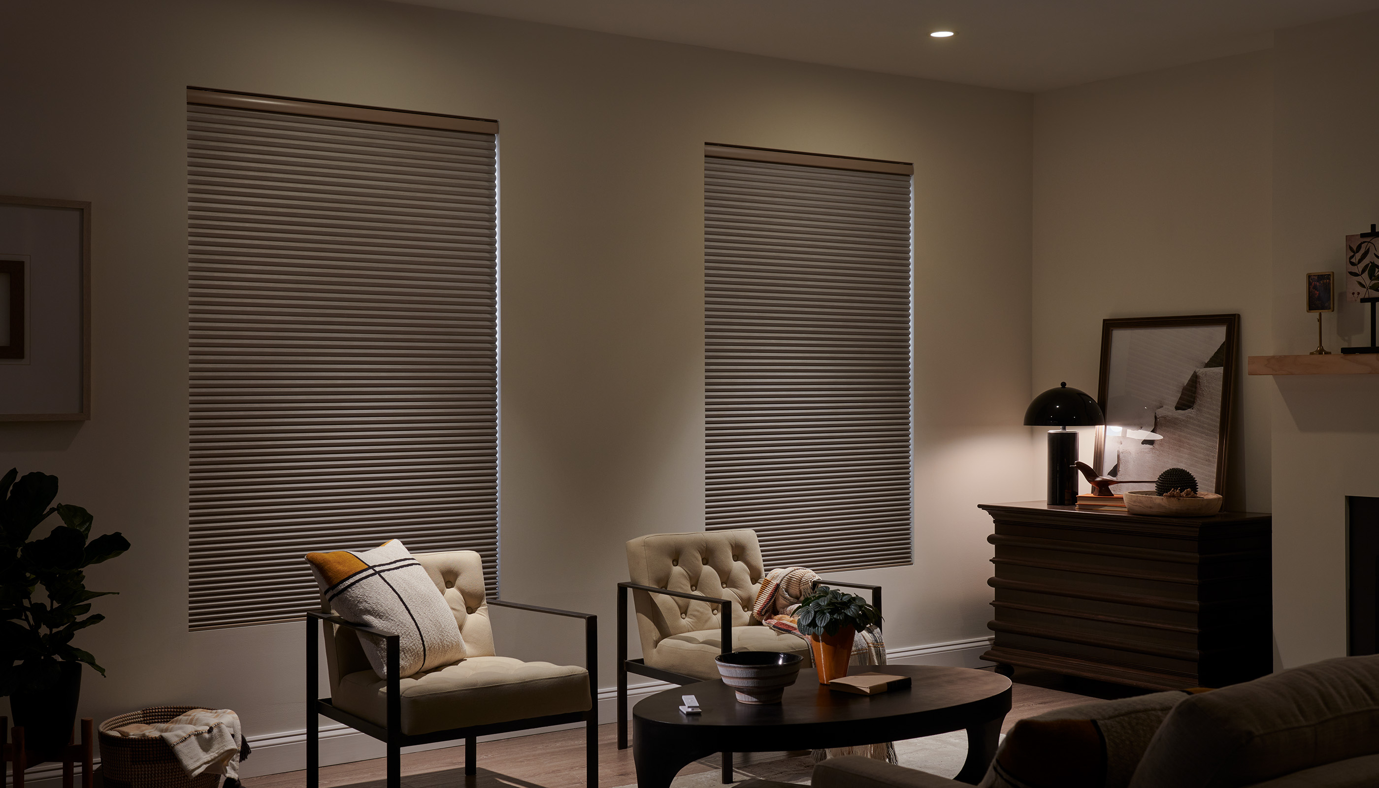 A Northwest private residence living room with Lutron Serena & Honecomb shades