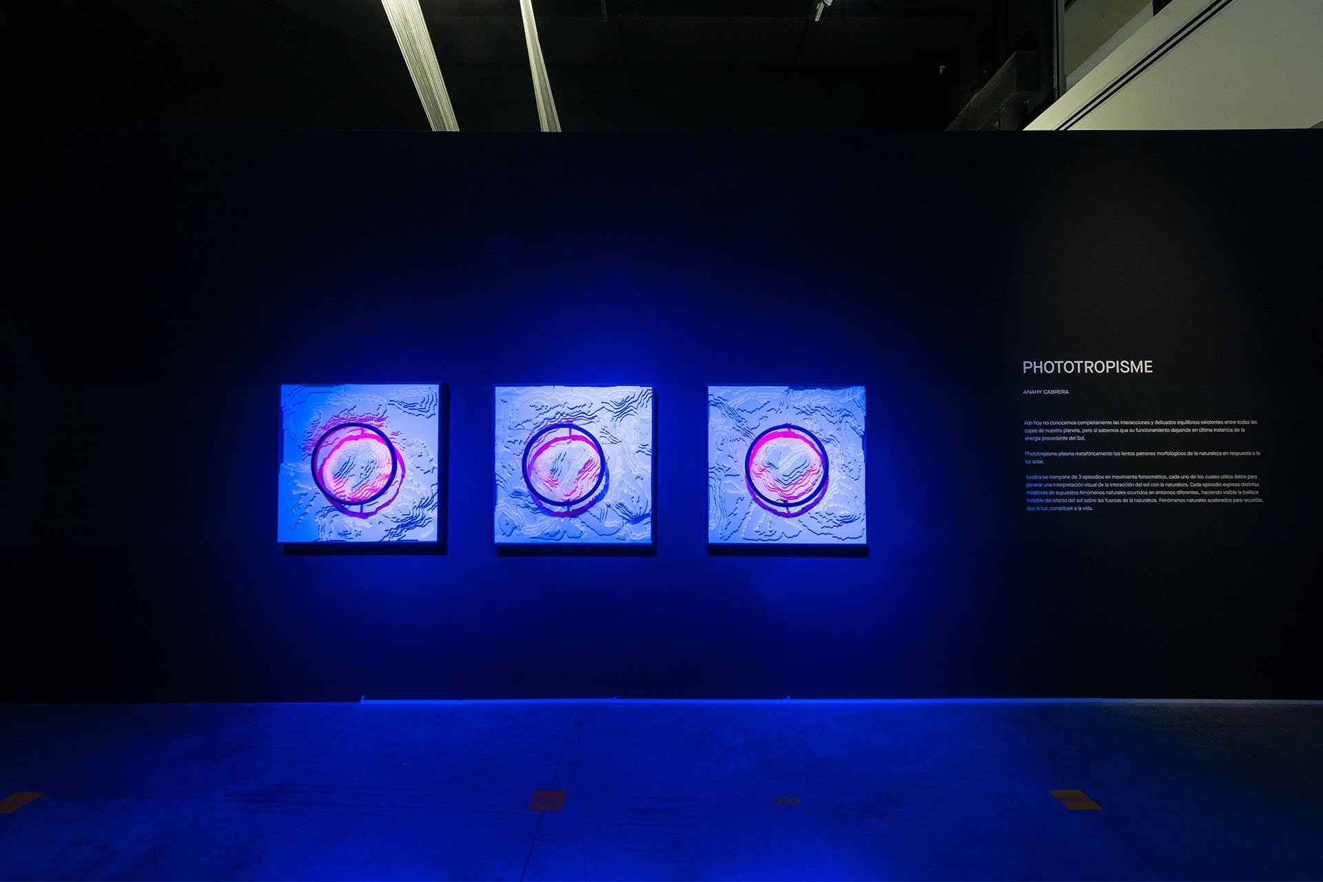 BlogPost_0001_Jaime Navarro -6487