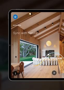 lex-app-homepage