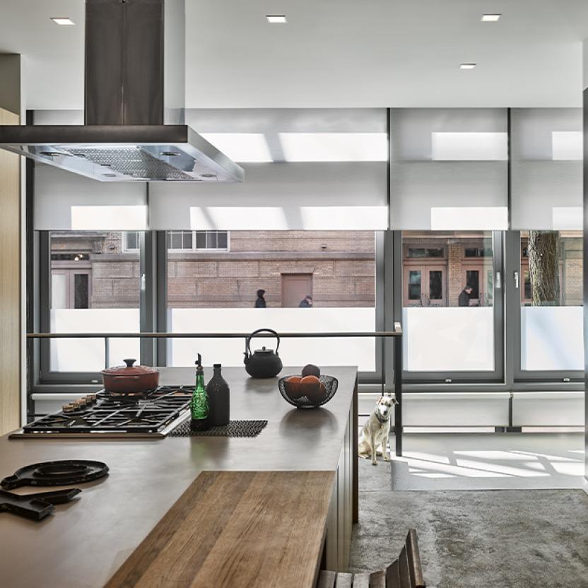 lutron_systemOptions_RollerShades_315x315_x2_d