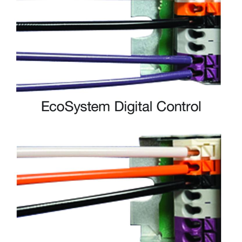 Wires_625x800