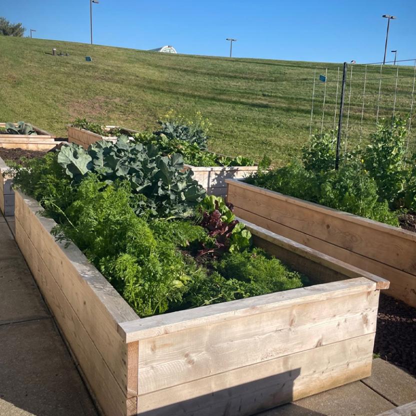 lutron_sustainabilityWaste_gridCardCarousel_03_416x400_2x_d