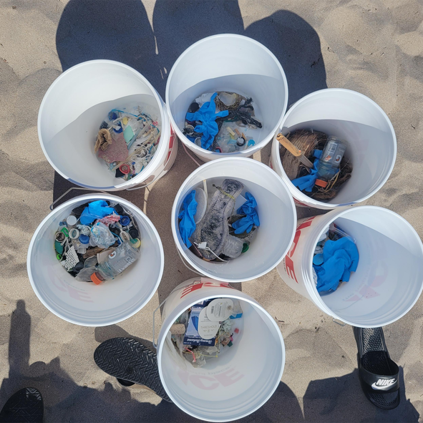 beach-cleanup