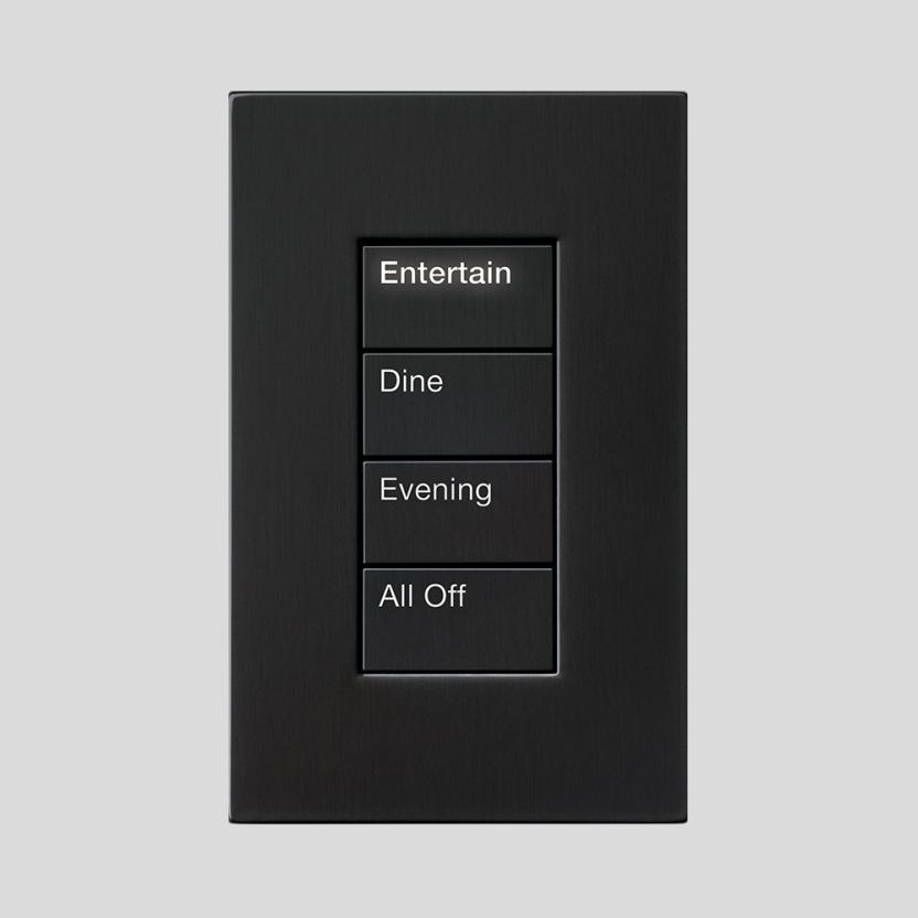 palladiom-homeworks-rectangle-4b-keypad-entertain-pg