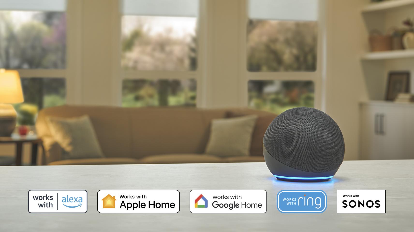 voice-control-vignette-caseta