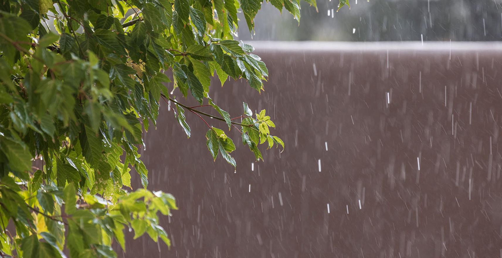 lutron_sustainabilityWater_gridCardCarousel_02_636x400_2x_d