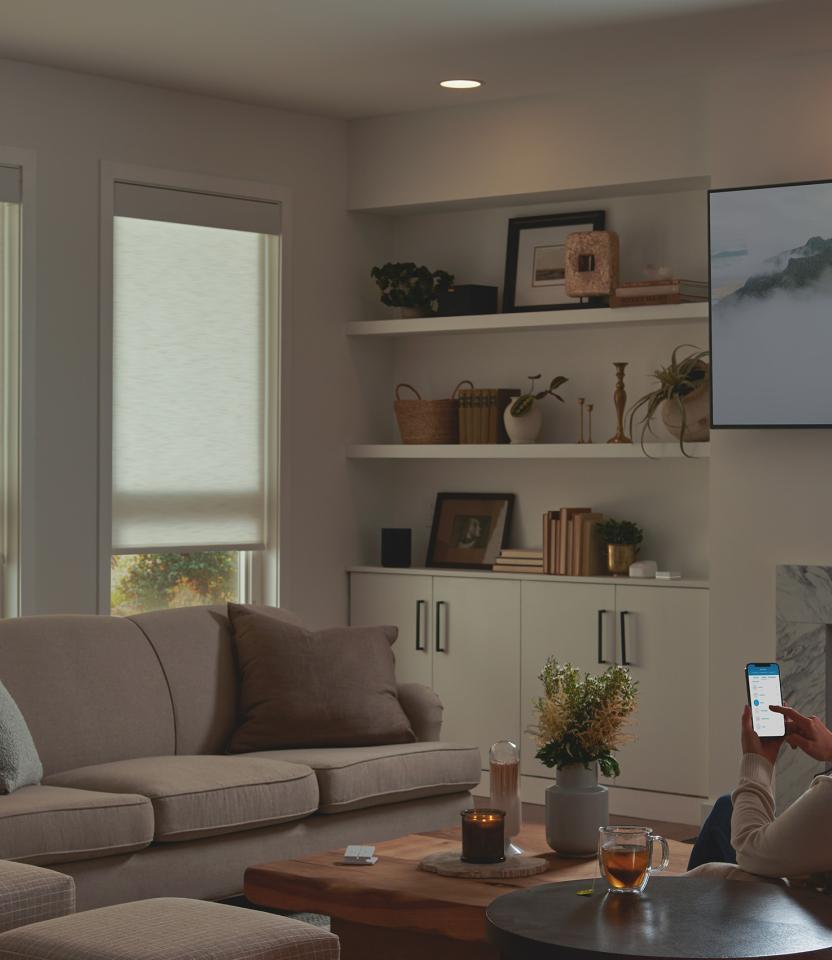 A Southeast private residence livingroom  with Lutron Serena, Roller Shades, Caséta, and Pico.