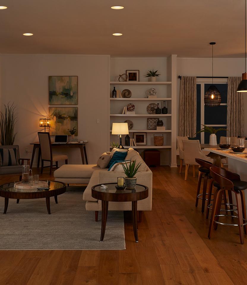 A Southeast private residence living room with Lutron Caséta, Pico, Smart Plugs & Dimmers & Switches