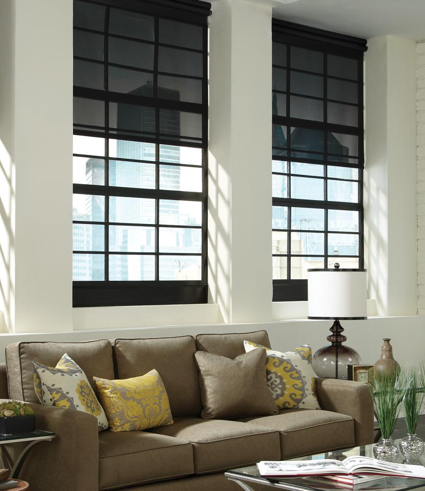 A Northeast private residence living room with Lutron Serena & Roller shades