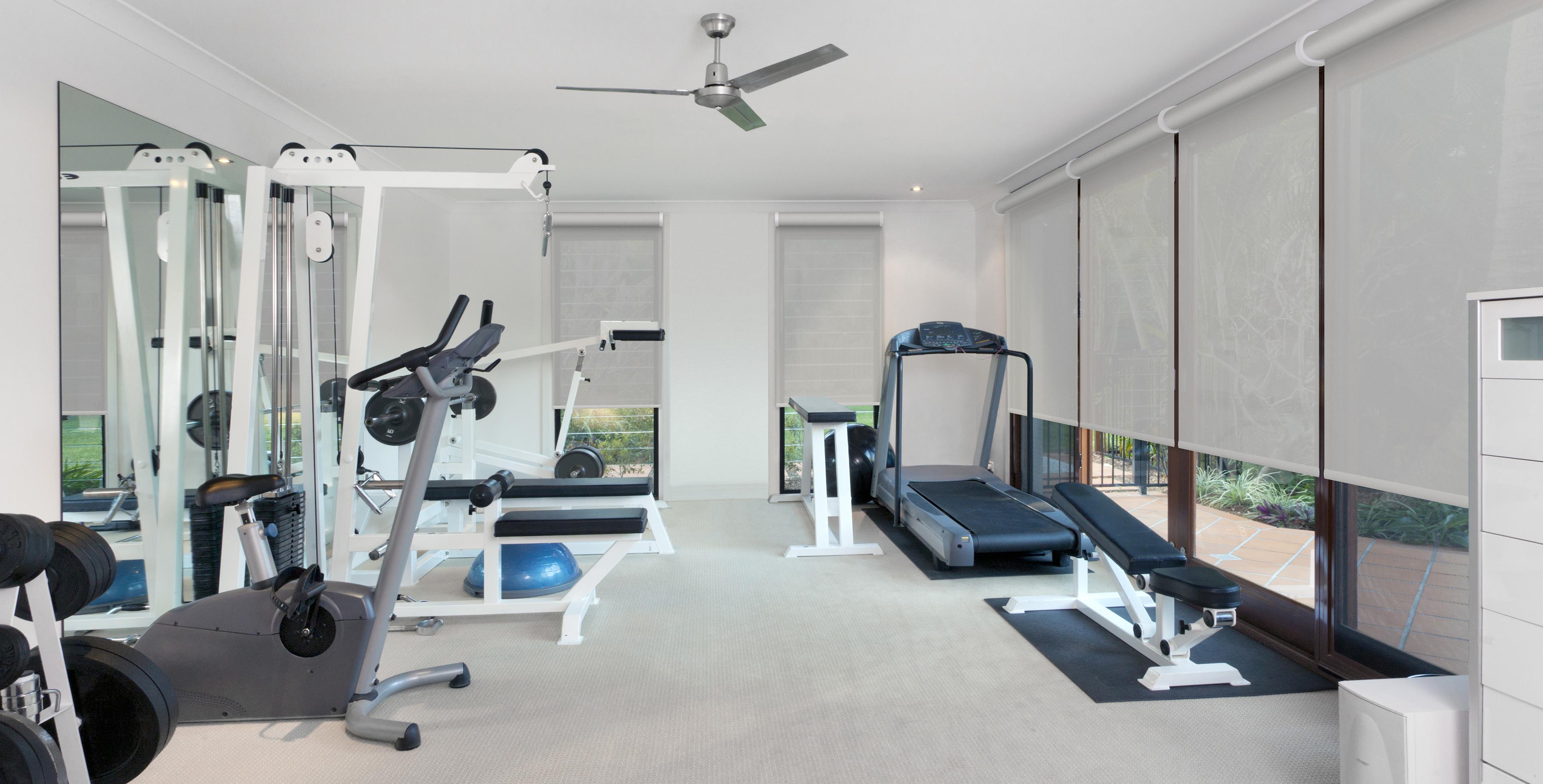 home-gym-107894630-basenji