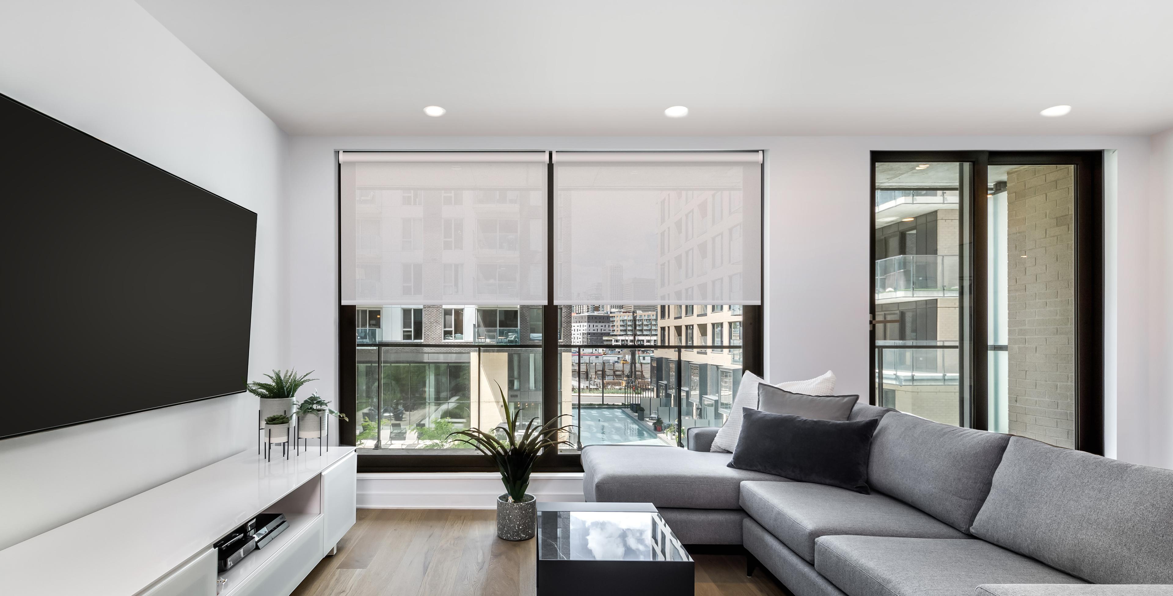 media-room-1457261897-basenji-resized.jpg