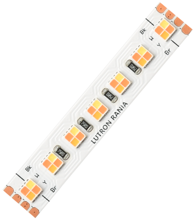 web-rania-tapelight-product-1