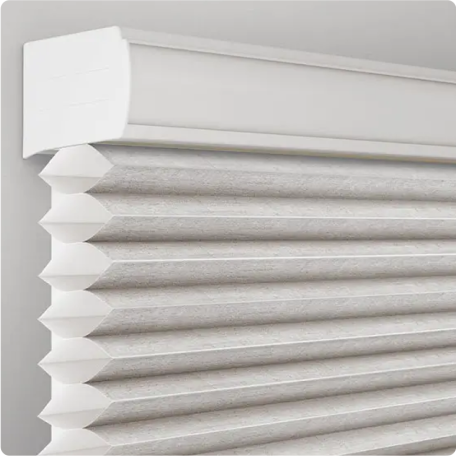 timeline_2011_serena_img