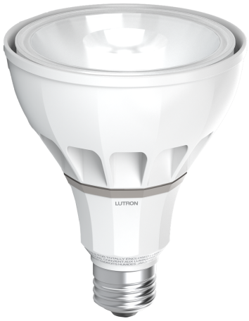 web-rania-s30lamp-hero