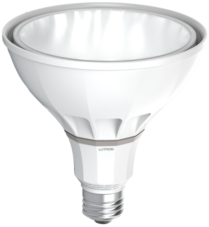 web-rania-s38lamp-hero