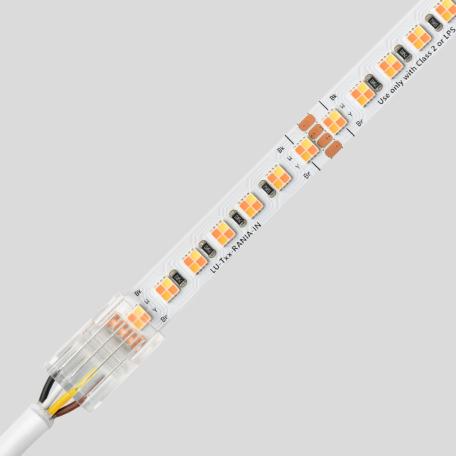 Rania LED tape lights for dynamic accent and cove lighting.