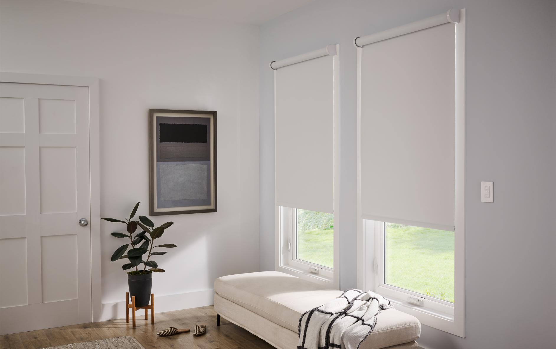 Bedroom_Basenji_Shades