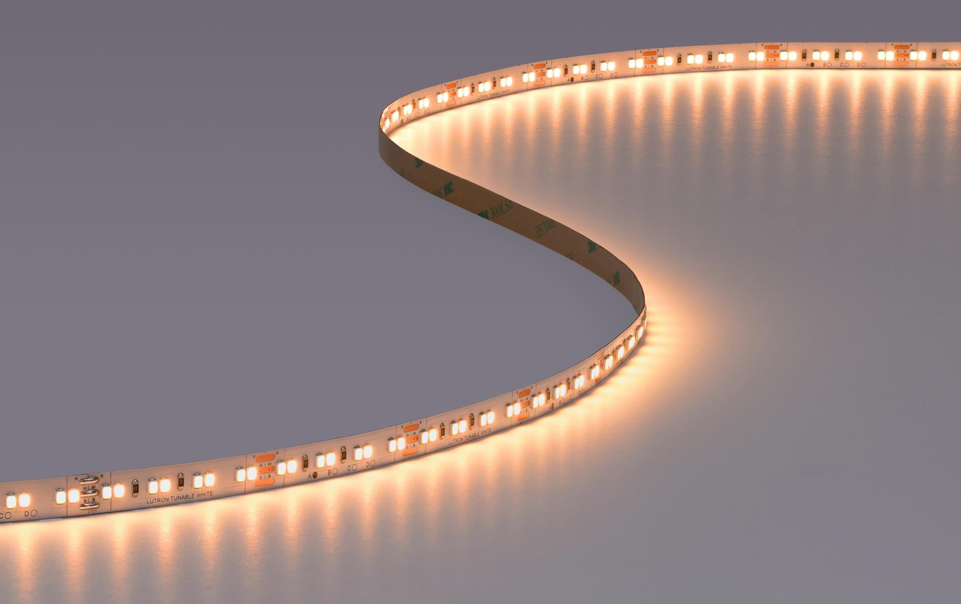 Rania tape light in a curved pattern.
