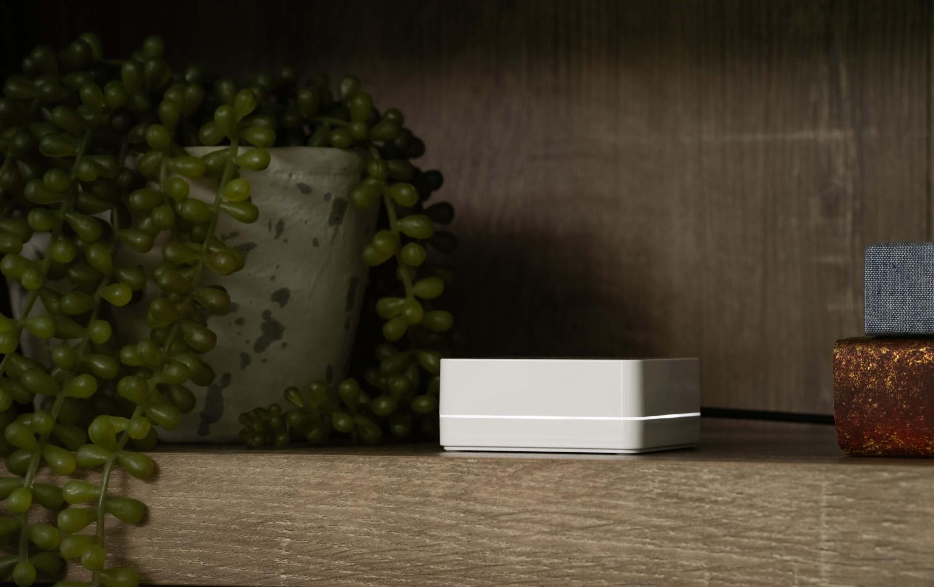 Caseta hub discreetly sitting on a decorative shelf.