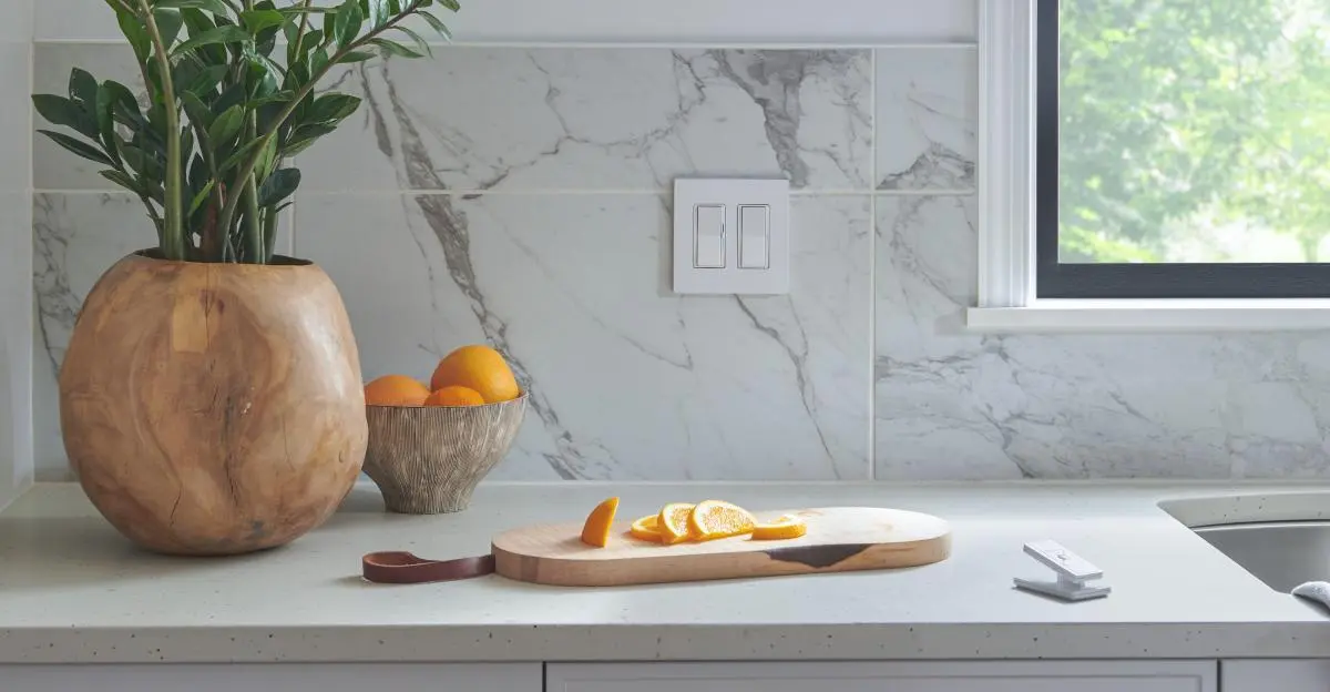 Lutron product range image